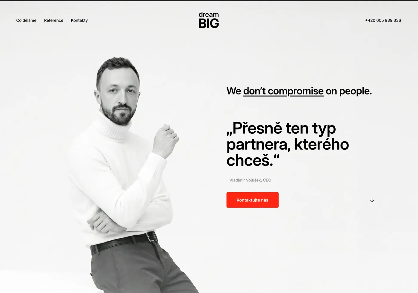 dreambig.cz - graphics & custom website